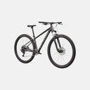 Bicicleta Rockhopper Sport