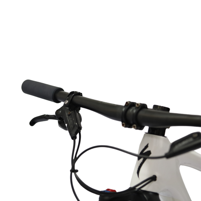 Bicicleta Specialized Epic Pro 29 T-M (2019)