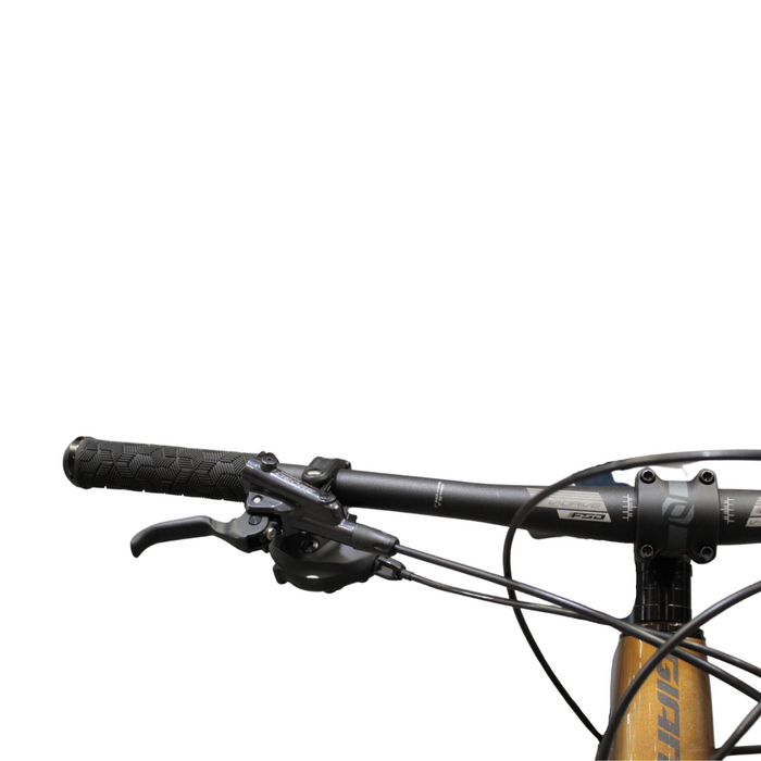 Bicicleta Giant XTC Advanced 2 29 T-L (2020)