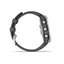 Garmin Smartwach Fēnix® 7 - Standard Edition