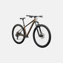 Bicicleta Rockhopper Sport T-L
