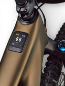 Bicicleta Levo Expert Carbon