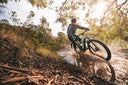 Bicicleta Liv Embolden E+ 2 625wh 32km/h