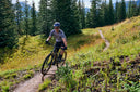 Bicicleta Giant Talon 0 R 29 (2025) Bicicleta de Montaña (MTB)