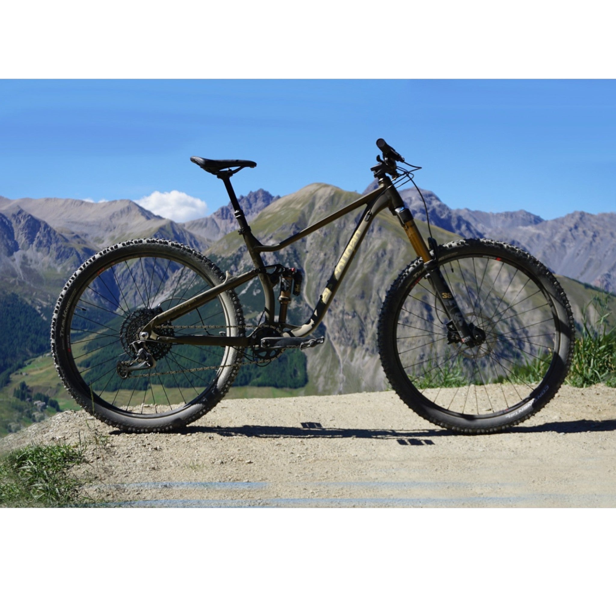 Bicicleta MTB Lee Cougan Quest Race Enduro Gold - SRAM SX - Microtech
