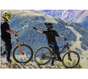 Bicicleta MTB Lee Cougan Quest Race Enduro Gold - SRAM SX - Microtech