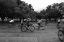 <h2><strong>Bicicletas de Ruta</strong></h2>