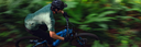 Deportista con bicicleta Pivot MTB en descenso por un trail rodeado de vegetación, Velostore México