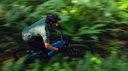 Ciclista descendiendo en bicicleta de montaña azul Pivot por sendero en el bosque