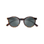 Lentes Lifestyle Scicon Protox (Unisex) - Velo Store Mx