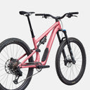 Bicicleta Stumpjumper 15 EVO Alloy Comp