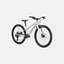 Bicicleta Riprock 24