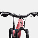 Bicicleta Stumpjumper 15 EVO Alloy Comp