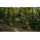 Bicicleta MTB Lee Cougan Quest Race Enduro Gold - SRAM SX - Microtech