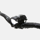 Combo NiteRider Swift 700 / Vmax 180