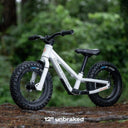 Bicicleta Shotgun Dirt Hero Balance