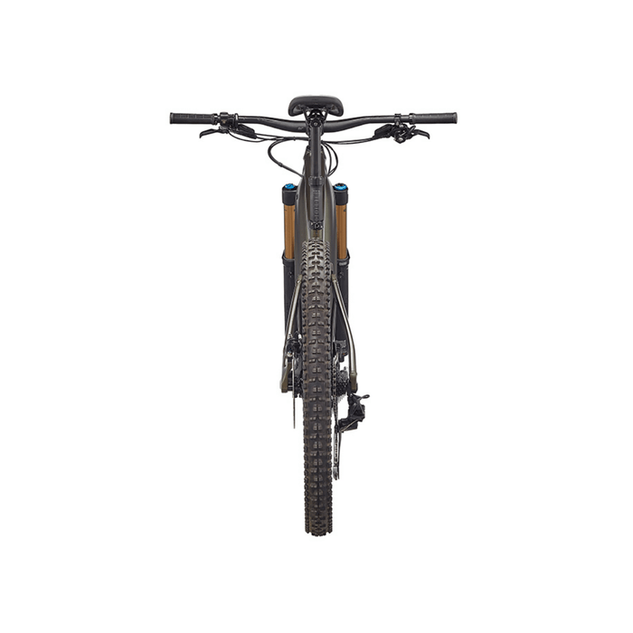 Bicicleta Giant Reign E+ 0 Pro (2022)